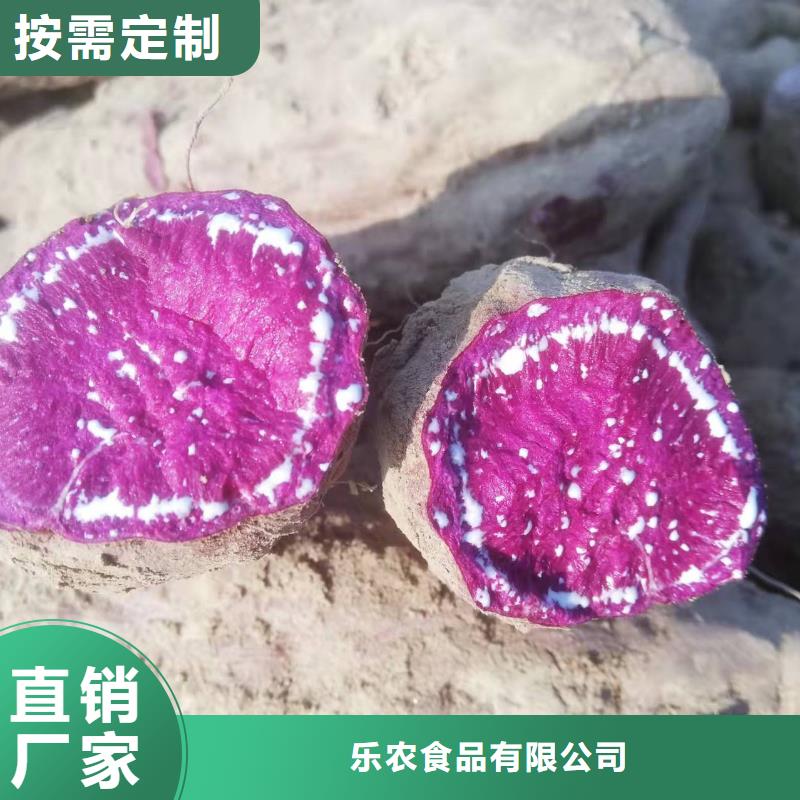 脱毒紫薯苗（济黑品种）适合种植的地方