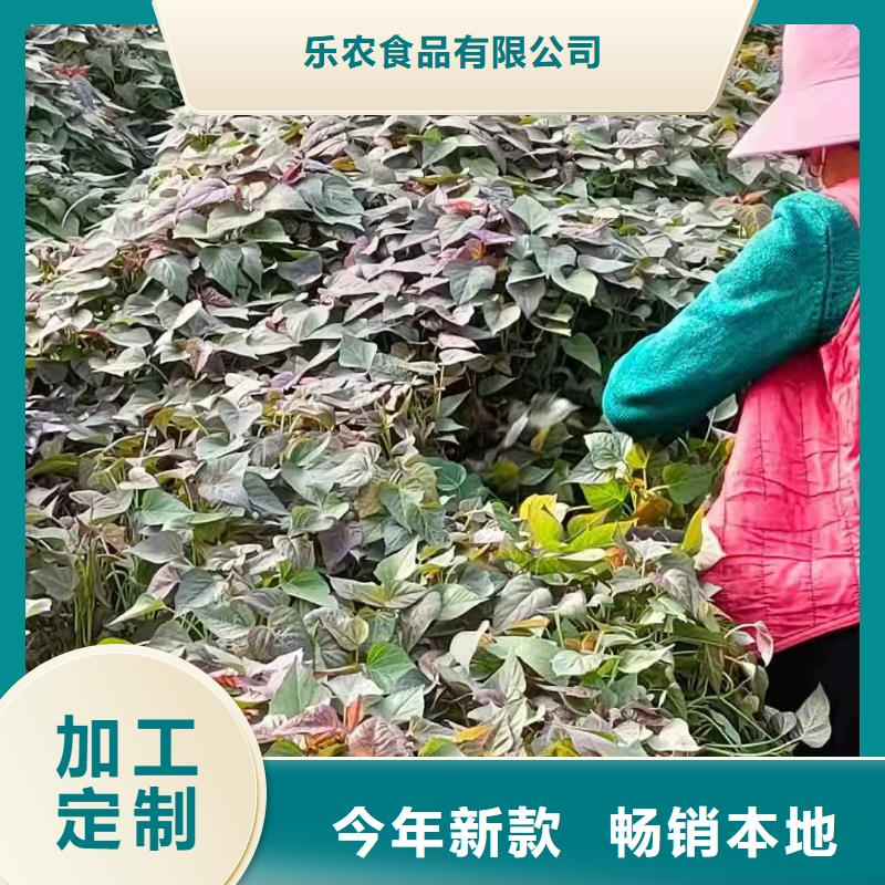 高剪脱毒普薯32号苗子怎么培育