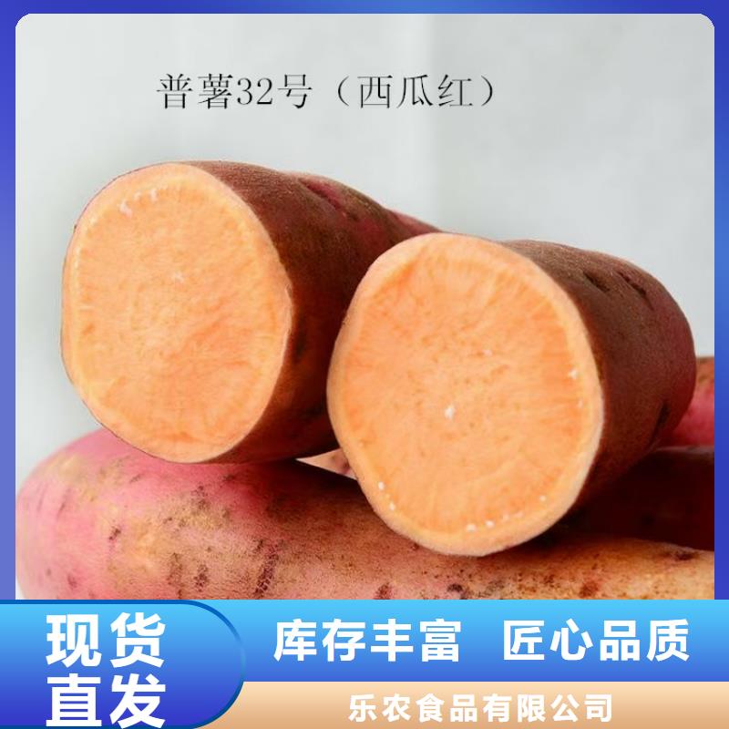 麦茬苗（紫薯)介绍