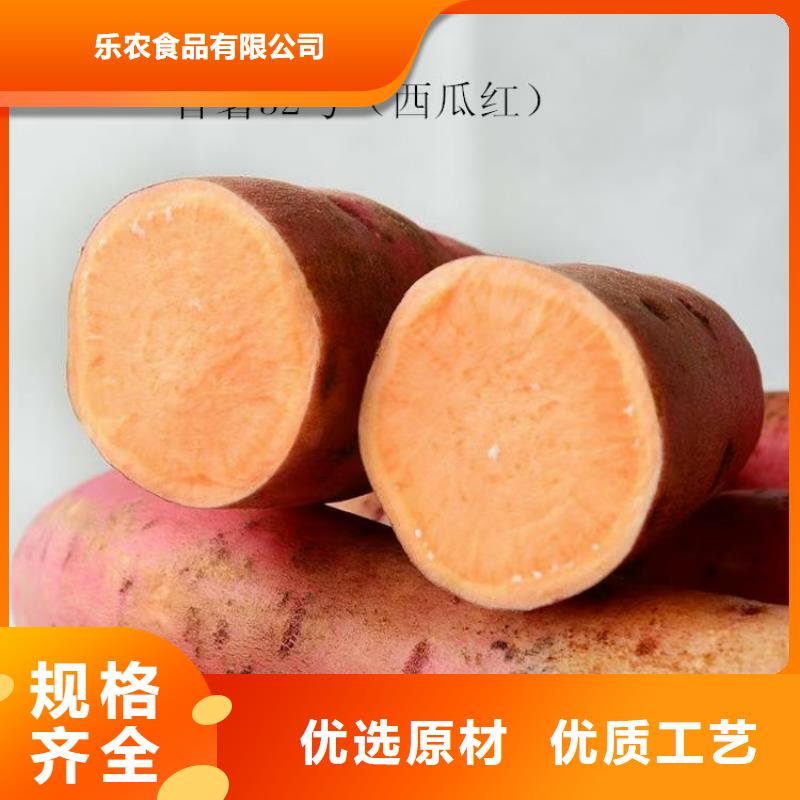 高产红薯苗今日价格