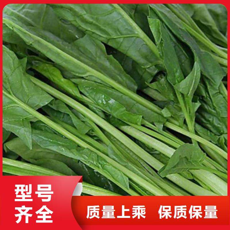 菠菜粉在线报价