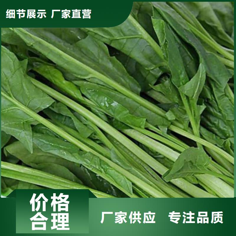 菠菜粉全国发货