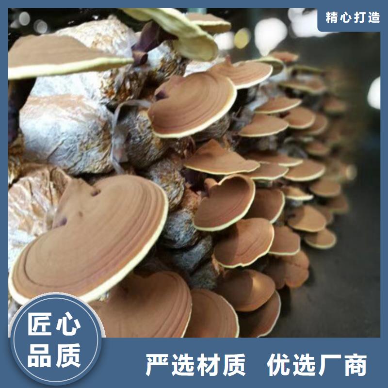 破壁灵芝孢子粉怎么吃好吃