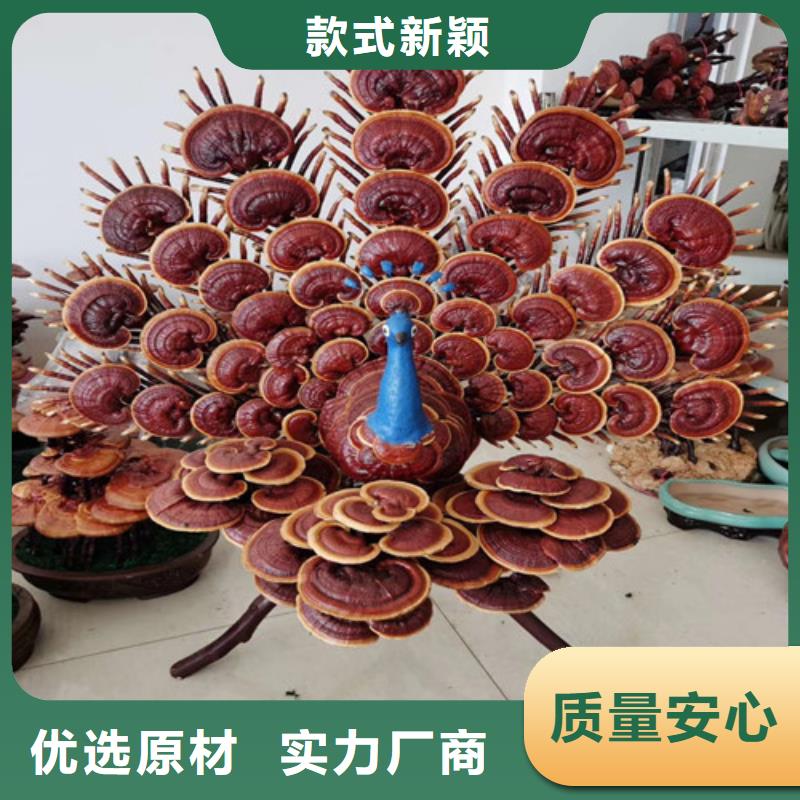 【灵芝孢子粉_灵芝破壁孢子粉用好材做好产品】