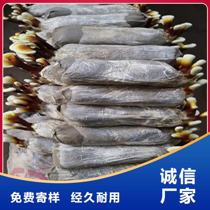 【灵芝孢子粉_灵芝破壁孢子粉用好材做好产品】