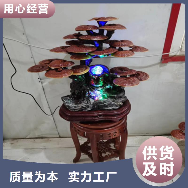 现货供应_灵芝孢子粉品牌:云海灵芝种植专业合作社