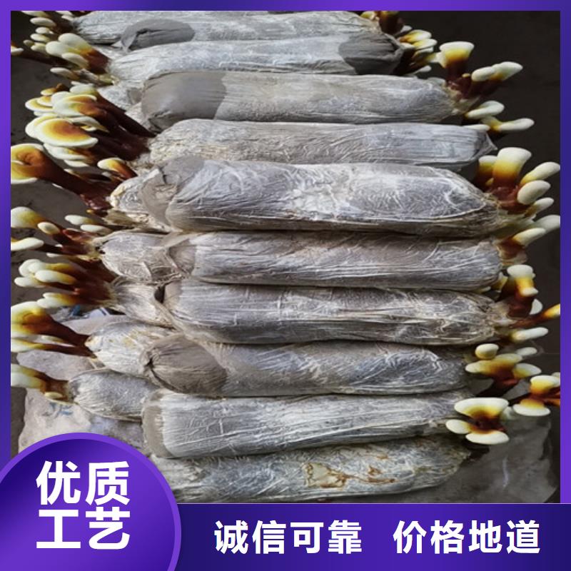 
灵芝超细粉-
灵芝超细粉货比三家