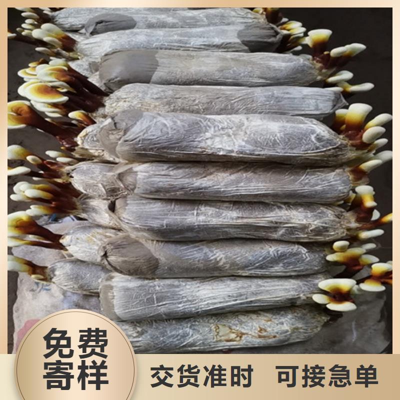 高品质灵芝超微粉
_灵芝超微粉
厂商