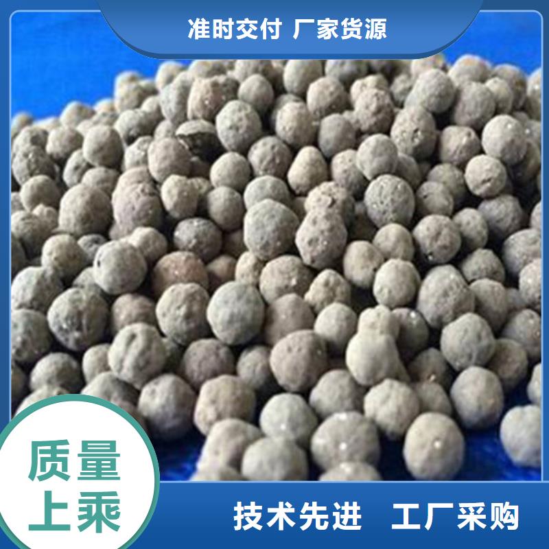 BAF滤池用生物陶粒