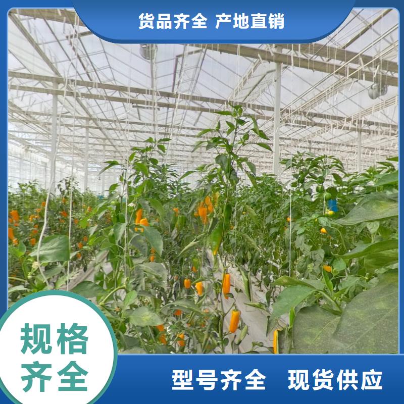 简易6分菌菇大棚管抗高温抗腐蚀