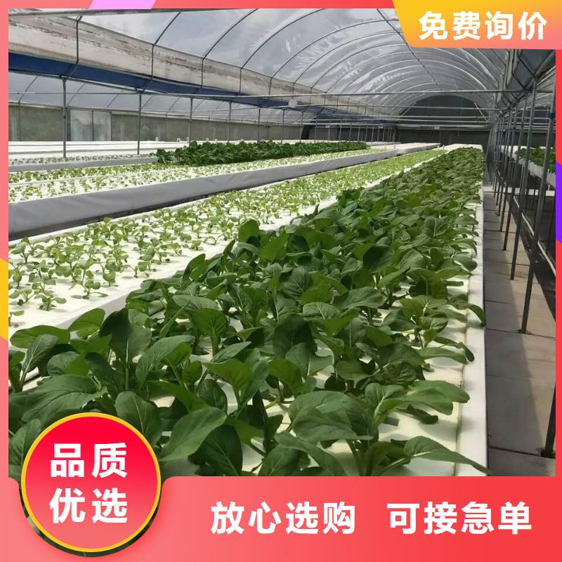 滨城区草莓养殖大棚管价格公道