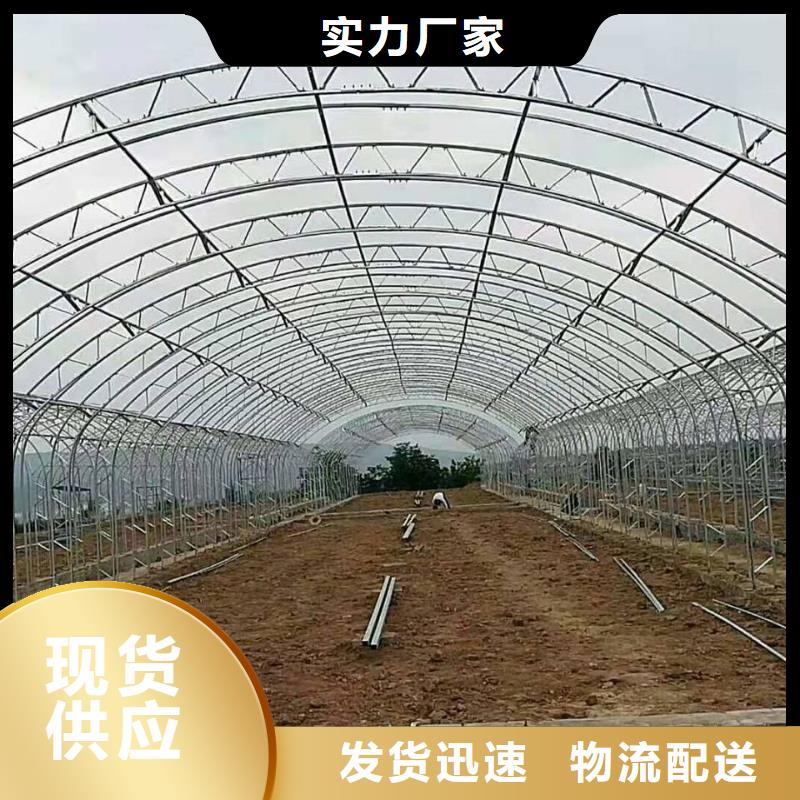 育苗用骨架钢管建设完善