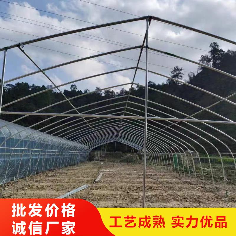 山阳食用菌大棚管厂家现货2024