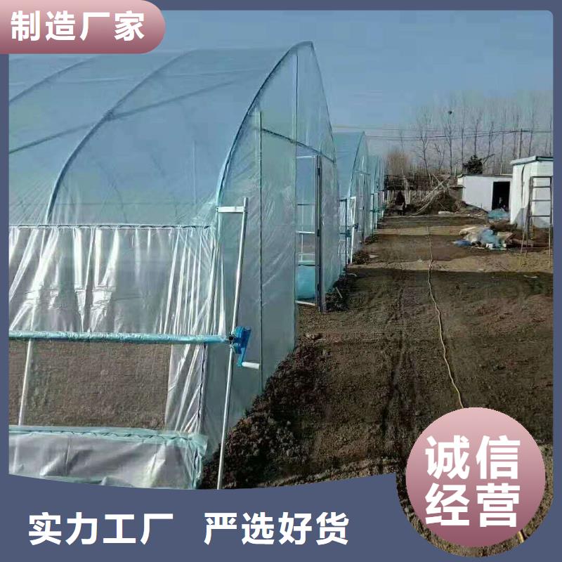 滨城区草莓养殖大棚管价格公道