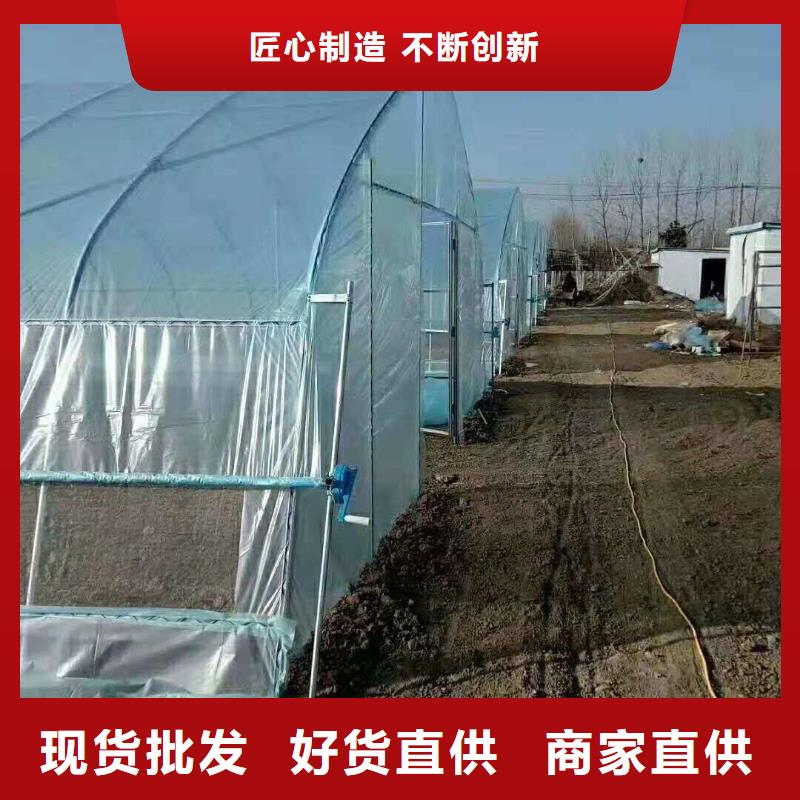 广南蔬菜骨架钢管欢迎订购2024