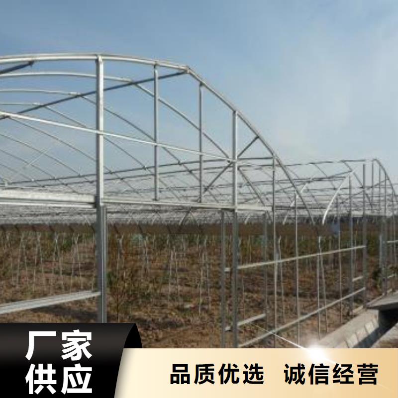 宣化区绿色植物大棚热镀锌管断