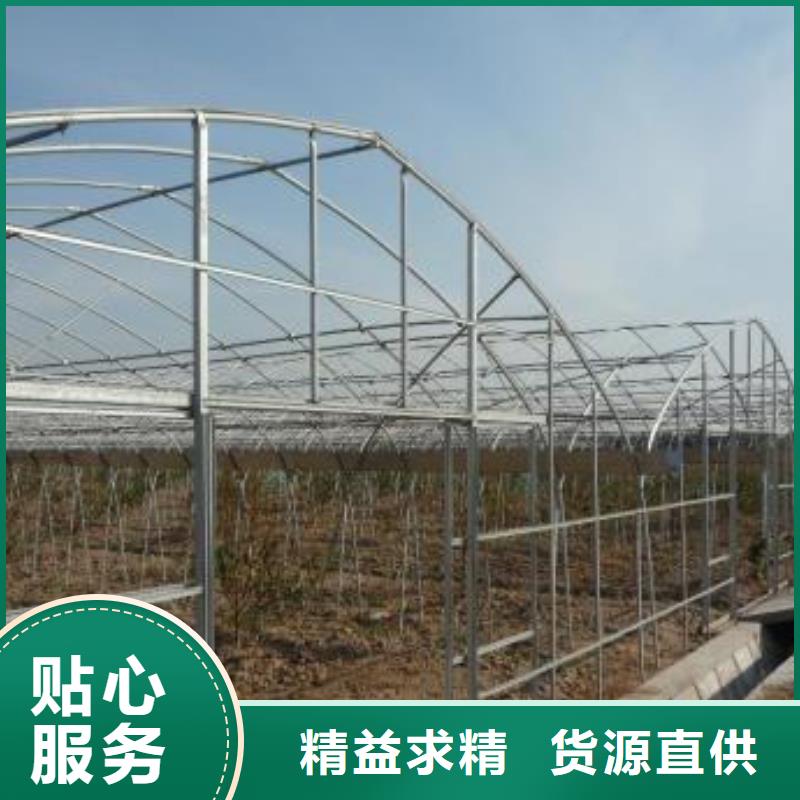 中江猕猴桃承重多少斤