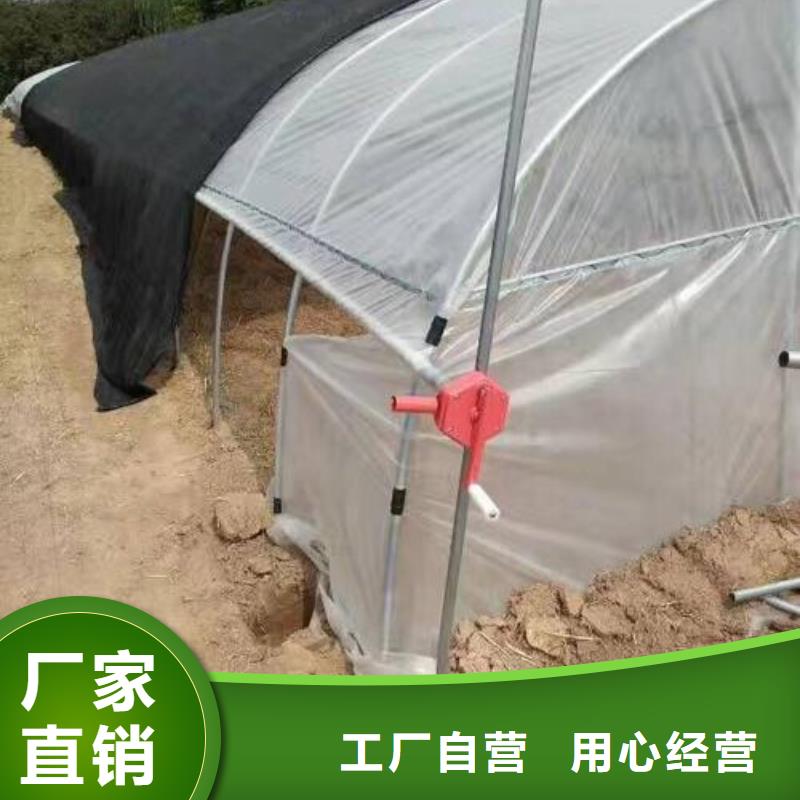 树苗大棚管介绍详细参数、