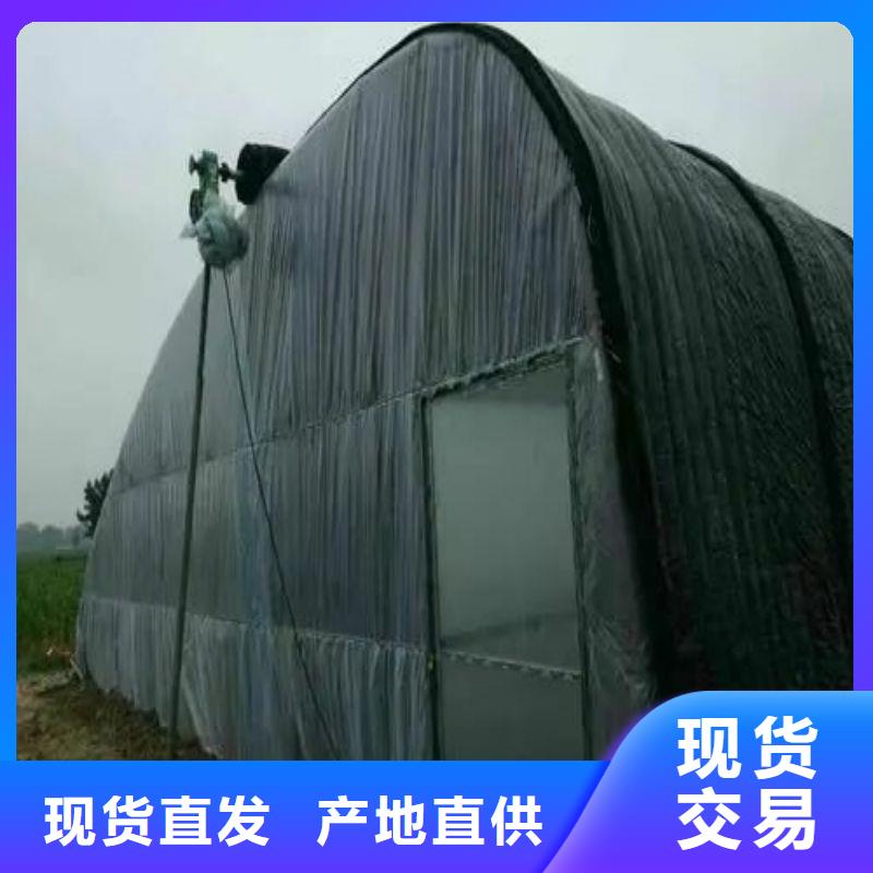 广东省珠海市横琴镇镀锌栅栏管种植基地
