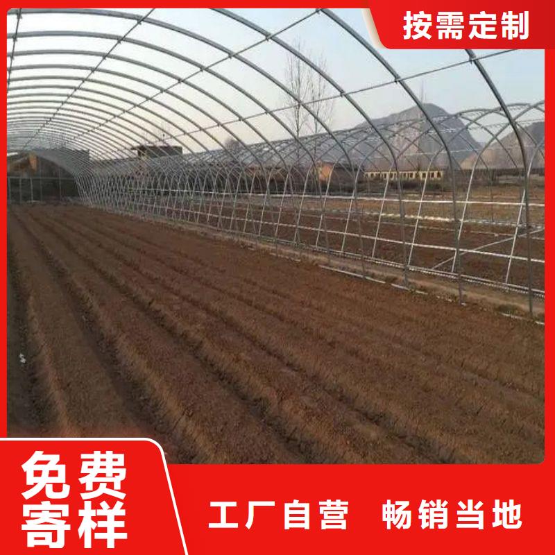 乐东县4分22mm大棚管种植基地