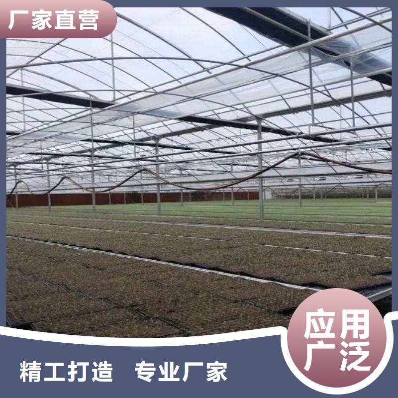 娄星区镀锌钢管dn100种植基地