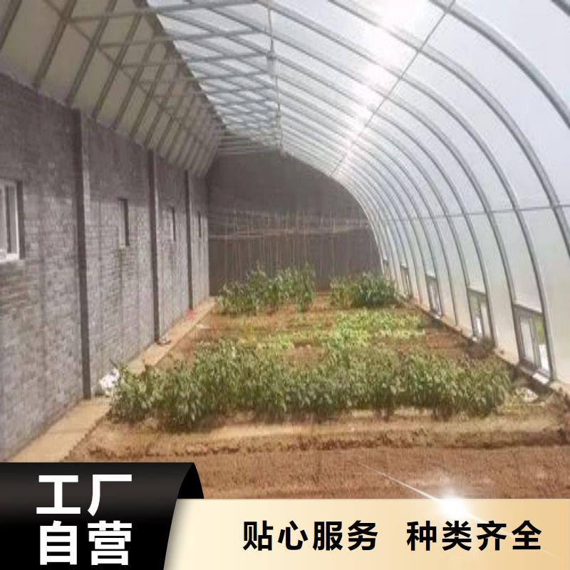 浦口塑料薄膜大棚承接