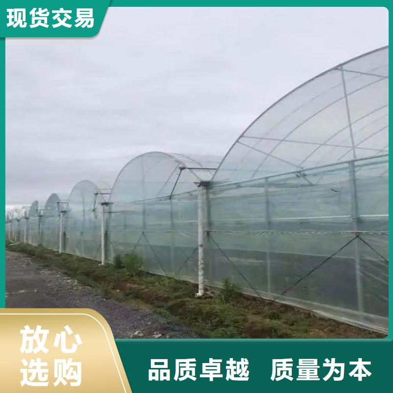 镀锌钢管dn100种植基地