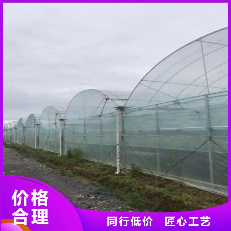 涟源市蔬菜大棚咋买