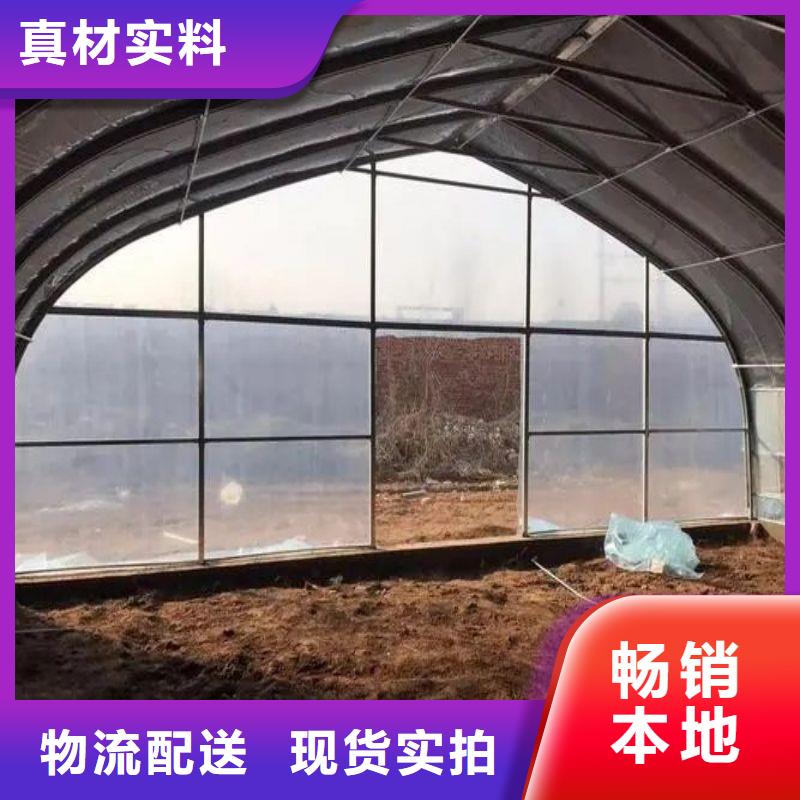 观湖街道简易温室种植基地