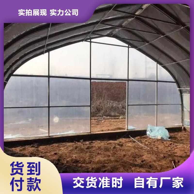 朔城区养殖大棚钢管咋卖