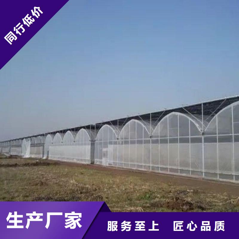 颍泉区养鸡定尺大棚管喜欢