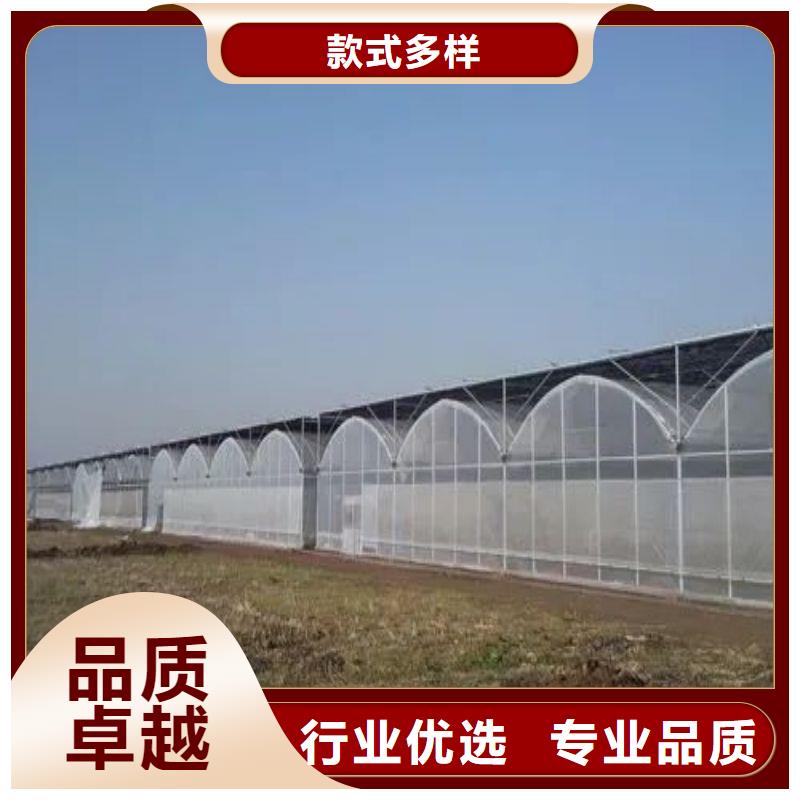 广东省汕头市凤翔街道带外遮阳水帘风机大棚钢管种植基地