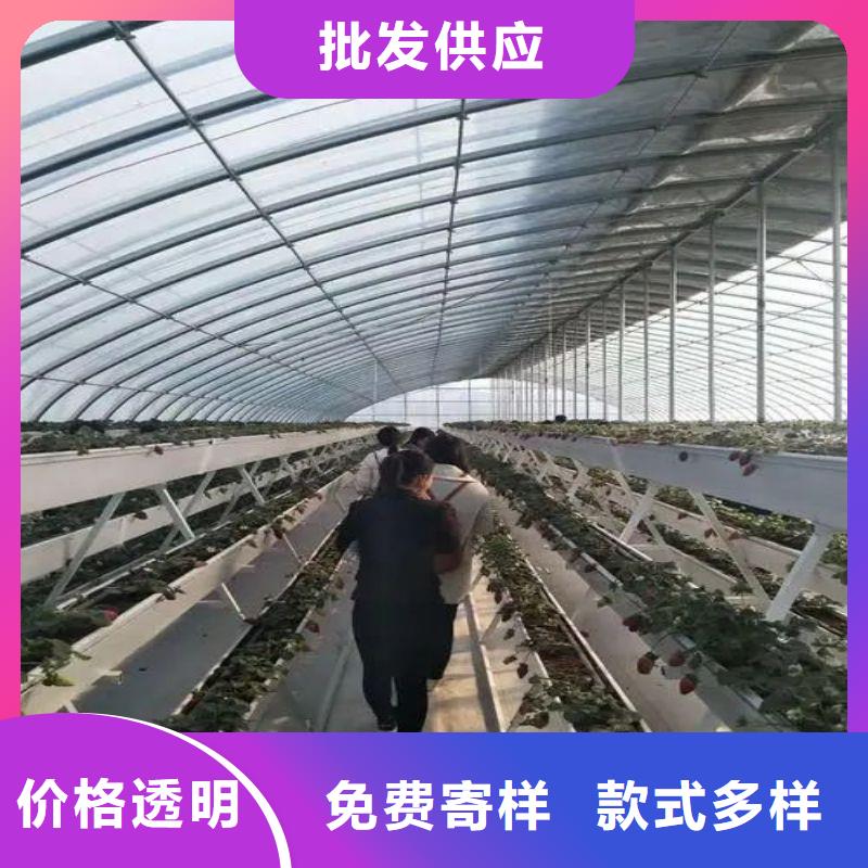 林甸县绿色植物大棚骨架