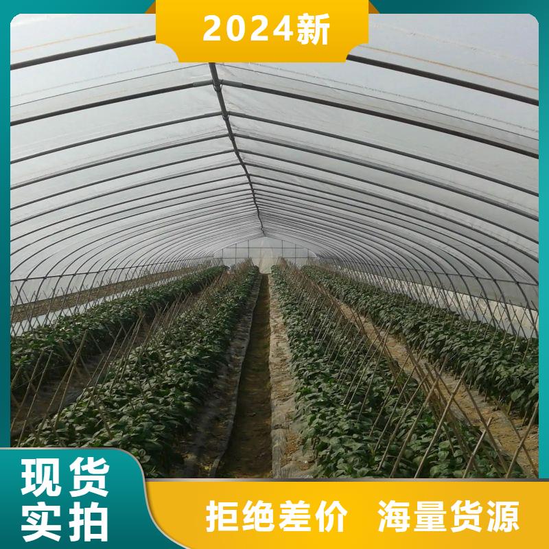 湟中县滴灌系统感兴趣