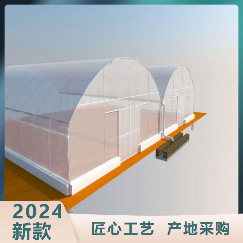 万载连栋大棚种植厂家2024