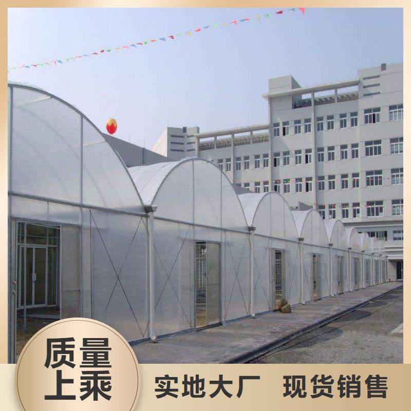 广东省深圳市梅林街道连体热镀锌管种植基地