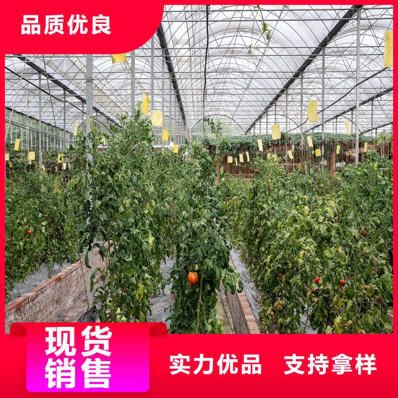 江津联栋大棚品质保障