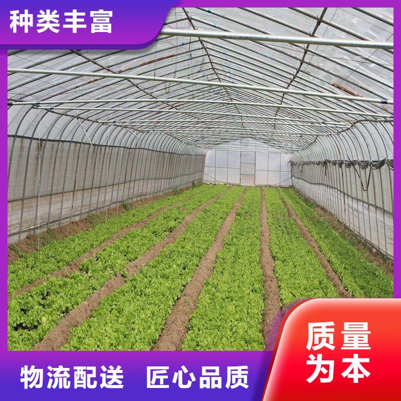 婺源种植单体大棚优惠报价