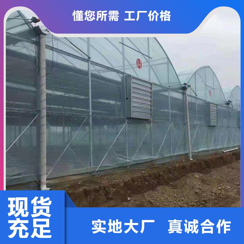 尼玛连栋大棚种植生产厂家2024