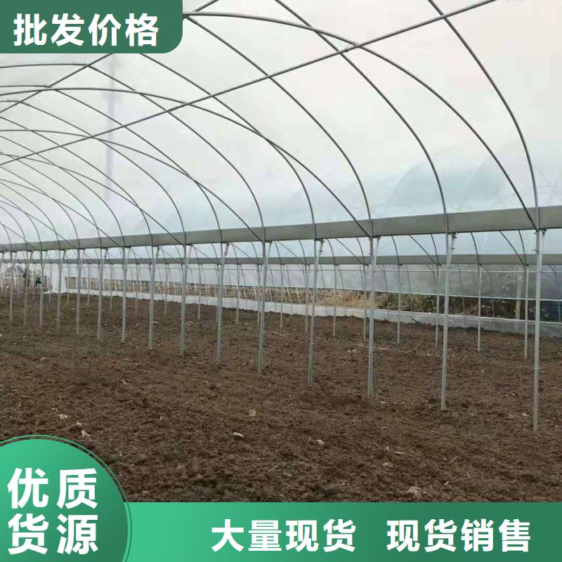 娄星区镀锌钢管dn100种植基地