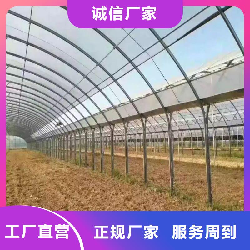 宜秀区棉被大棚喜欢