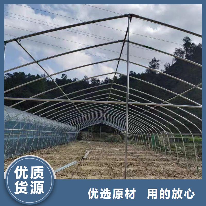 文登种植单体大棚在线报价