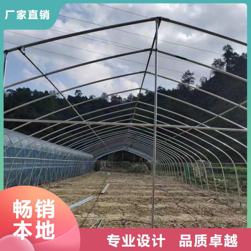 颍泉区养鸡定尺大棚管喜欢