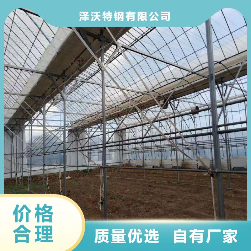 尼玛连栋大棚种植生产厂家2024