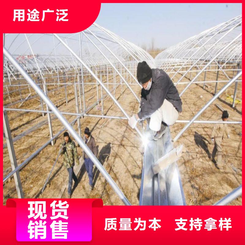 万载连栋大棚种植厂家2024