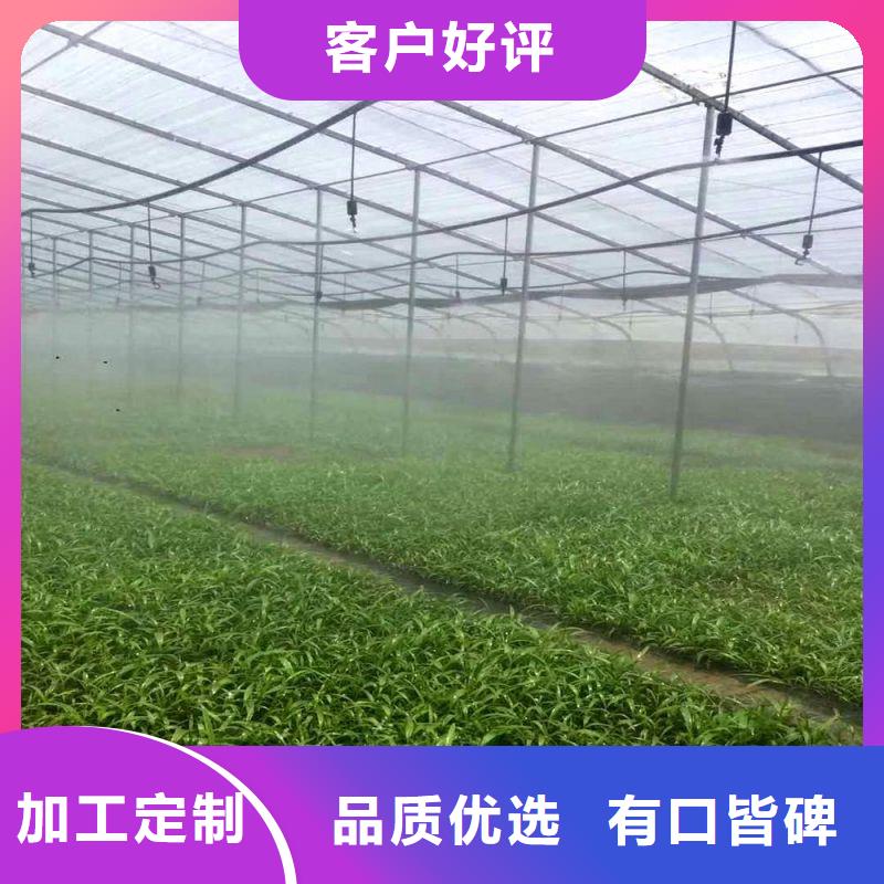 广陵大棚材料源头好货