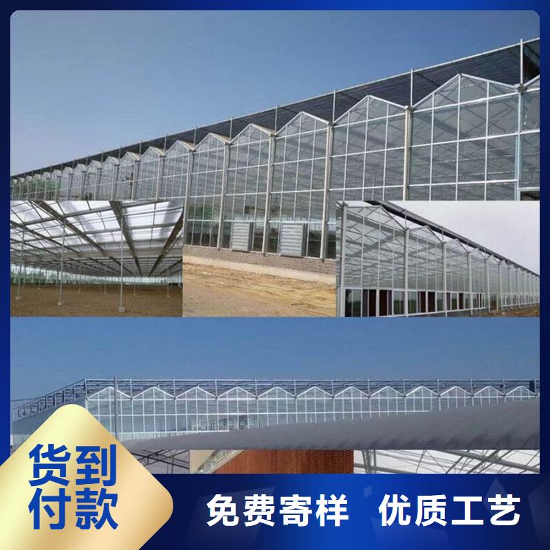 广东省珠海市横琴镇镀锌栅栏管种植基地