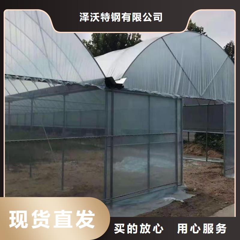 祁门蔬菜大棚管价格优2024已更新