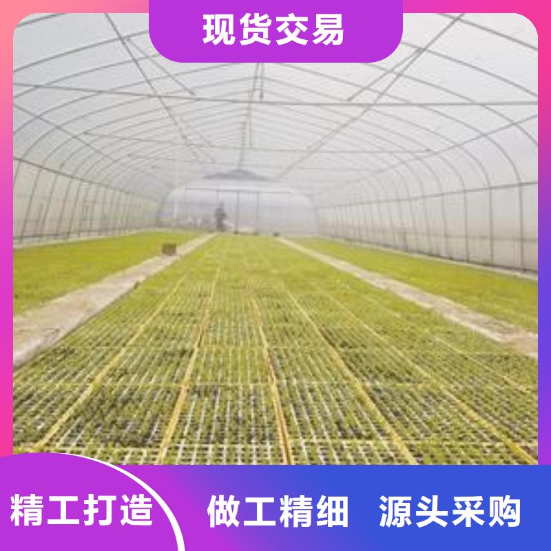 大棚管生产厂家量大包邮