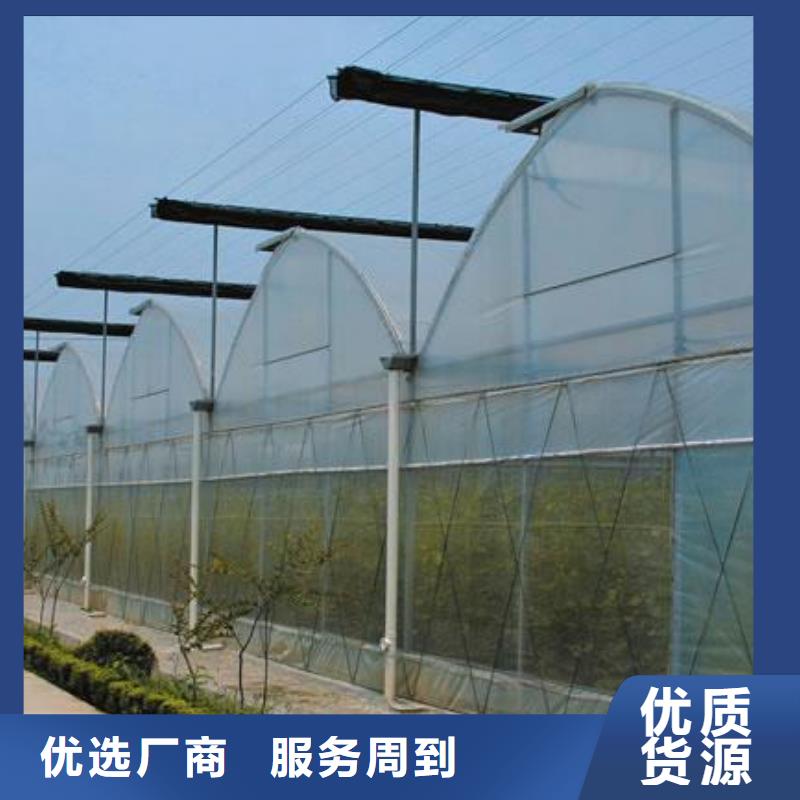龙川县优质国标连栋薄膜温室大棚联系方式